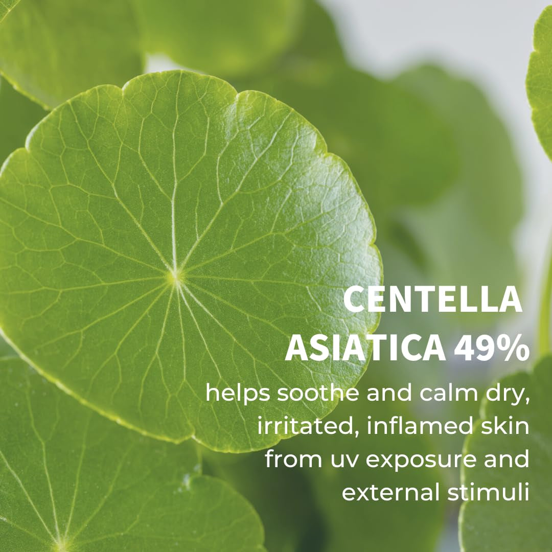 Centella Calming Moisture Daily Sunscreen SPF 50+ PA++++ Matte & No White Cast Centella Asiatica Dry Oily Sensitive Vegan Korean Skincare - Pack of 2
