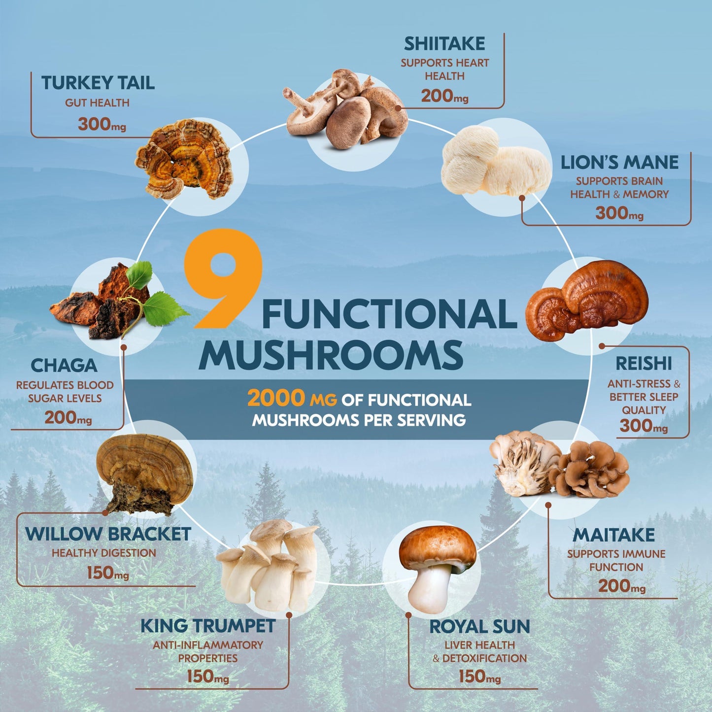 Instant Mushroom Coffee – 45 Servings Arabica Coffee with 9 in 1 Adaptogenic Mushroom Powder Blend: Lion’S Mane Turkey Tail Reishi & More Energy Boost anti Stress Immune Support Low Caffeine No Added Sugars